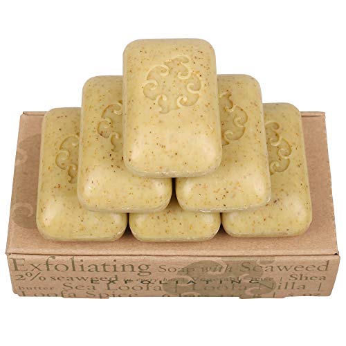 Baudelaire Exfoliating Soap, Sea Loofa Bath Soap & Body Soap, Natural Soap, Triple Milled with 100% Natural Fragrance, 2…