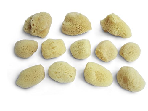 Natural Sea Silk Sponges 12pk: Size 1.5″-3″ like Cotton Balls, for Cosmetic Use, Makeup Application & Removal, Face & Eye Cleaning, with Luxury Gift Bag by Constantia Beauty®