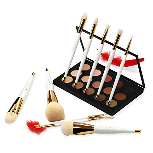 Brush Master Makeup Brushes Set 10Pcs Professional Kabuki Foundation Eyeshadow Blush Blending Lip Full Face Cosmetic Kit…