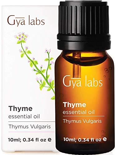 Gya Labs Thyme Essential Oil for Hair Growth – 100% Pure Therapeutic Grade Thyme Oil for Skin – Thyme Essential Oil…