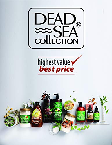 Dead Sea Collection Hemp & Tea Tree Serum for Facial – Anti-Wrinkle and Anti Aging Face Skin Care – Pack of 1 (1.01 fl…