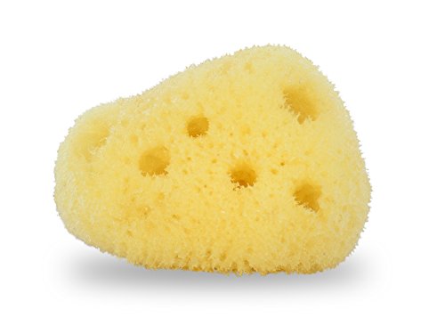 Natural Sea Silk Sponges 12pk: Size 1.5″-3″ like Cotton Balls, for Cosmetic Use, Makeup Application & Removal, Face & Eye Cleaning, with Luxury Gift Bag by Constantia Beauty®