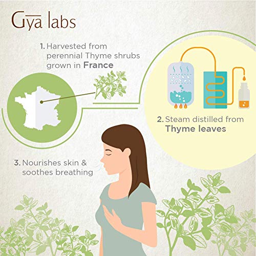 Gya Labs Thyme Essential Oil for Hair Growth – 100% Pure Therapeutic Grade Thyme Oil for Skin – Thyme Essential Oil…