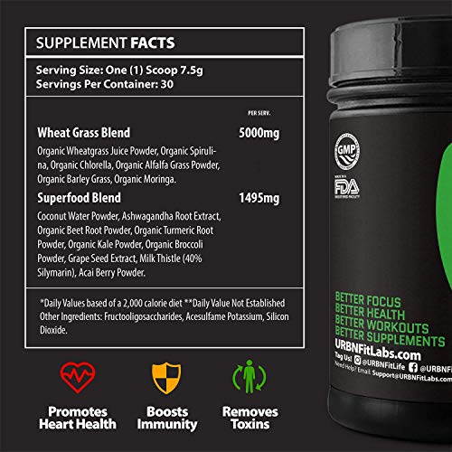 Daily Greens Organic Superfood Powder Supplement | 15 Organic Plant-Based Fruits and Vegetables in One Scoop | All…