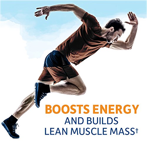 Garden of Life Raw Organic Fit Powder, Chocolate – High Protein for Weight Loss (28g) Plus Fiber Probiotics & Svetol…