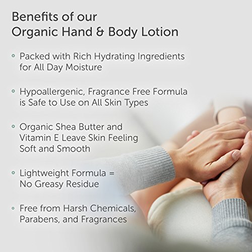 Puracy Unscented Lotion, Fragrance Free Lotion for Body & Hands, Unscented Facial Moisturizer with Ceramides and…