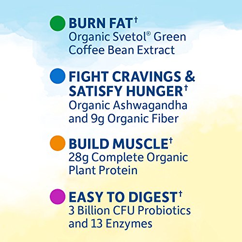 Garden of Life Raw Organic Fit Powder, Chocolate – High Protein for Weight Loss (28g) Plus Fiber Probiotics & Svetol…