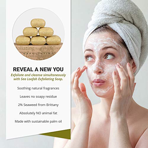 Baudelaire Exfoliating Soap, Sea Loofa Bath Soap & Body Soap, Natural Soap, Triple Milled with 100% Natural Fragrance, 2…