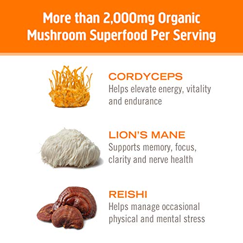Om Mushroom Superfood Energy Plus Mushroom Powder Drink Mix, Citrus Orange, 7.05 Ounce, 32 Servings, Mushroom Blend…
