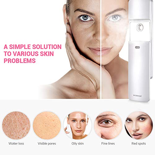 Nano Mister Facial Spray Face Mist Nanomister for Eyelash Extensions Portable Facial Steamer Face Humidifier Flight…