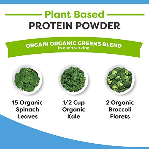 Orgain Organic Protein & Greens Vegan Protein Powder, Vanilla Bean – 21g of Plant Based Protein, Gluten Free, Non-GMO, 1…