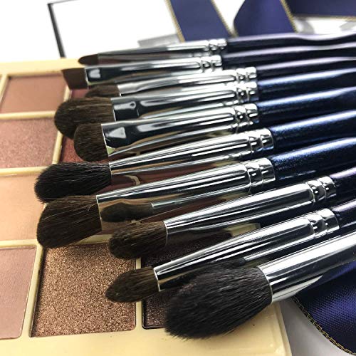 ENERGY Eye Makeup Brush Set Professional Eyeshadow Brush Set 10pcs Make Up Brush Kit for Eye Shader,Eyeliner,Eye…