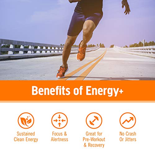 Om Mushroom Superfood Energy Plus Mushroom Powder Drink Mix, Citrus Orange, 7.05 Ounce, 32 Servings, Mushroom Blend…