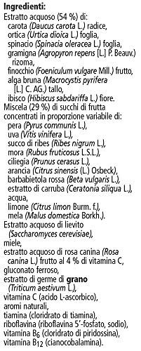 Floradix Liquid Iron and Vitamin Formula 250ml