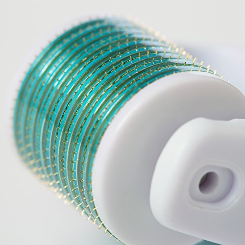 Derma Roller Microneedle 6 Piece Kit [DERMAROLL by Prosper Beauty] Face Roller with 4 Replaceable Heads Exfoliation…