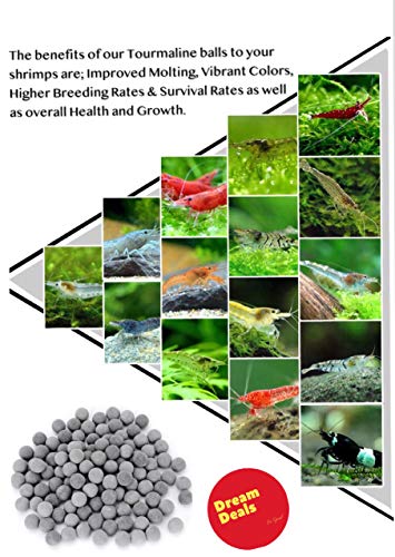 DreamDealsSG 100 Pieces Tourmaline Balls for Betta Fish Tank Accessories. Mineral Calcium Supplement. Live Shrimp Food…