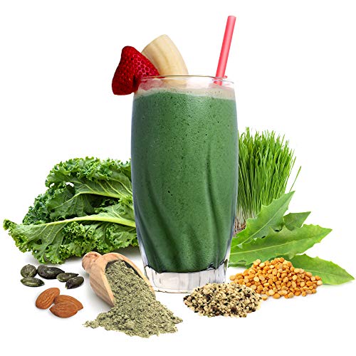 Sunfood Organic Supergreens & Protein. New Plant-Based, Grain Free Protein Blend + 19 Green Superfoods + Probiotics…