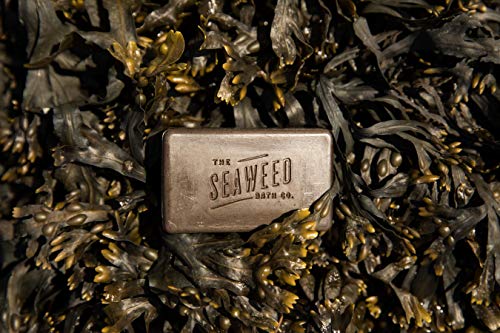 Seaweed Bath Co. Exfoliate Detox Body Soap, 3.75 Ounce, Sustainably Harvested Seaweed, Charcoal (Packaging May Vary)