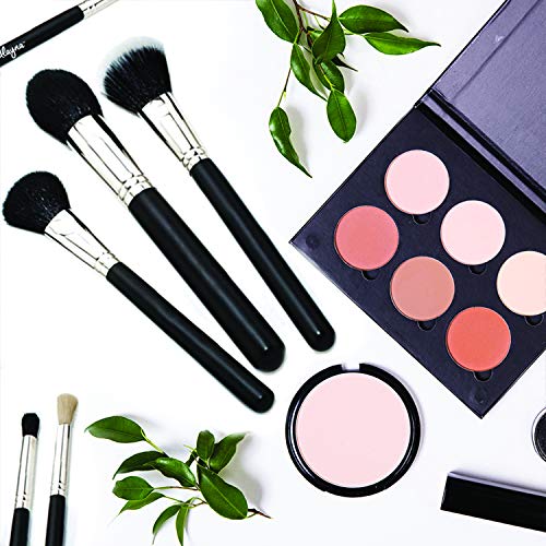 Alayna professional makeup brush kit- 15 brushes. Soft bristles. Makeup brushes for powder, contour, blush, concealer…