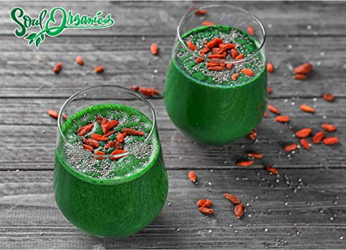 Organic Spirulina Powder Pure and Raw – Purest Green Algae Superfood, Supports Vitality and Glowing Skin, Hair and Face…