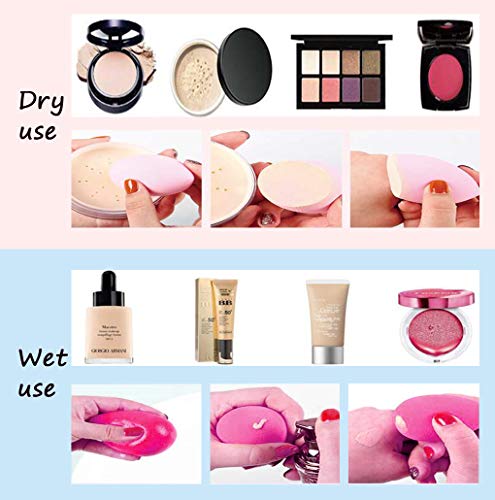 Makeup Sponge Blender Makeup Blender Sponge Set Beauty Sponge Wet And Dry Multi-purpose With a Makeup Sponge Holder…