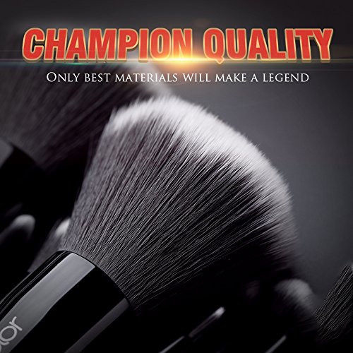 Docolor Makeup Brushes 12 Pieces Starlight Goddess Makeup Brush Set Professional Face Powder Foundation Blending Blush…
