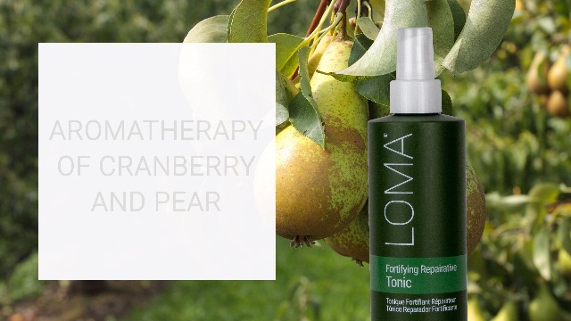 LOMA Loma Hair Care Fortifying Repairative Tonic