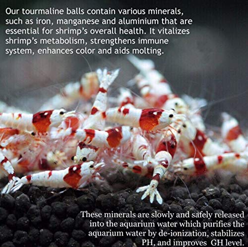 DreamDealsSG 100 Pieces Tourmaline Balls for Betta Fish Tank Accessories. Mineral Calcium Supplement. Live Shrimp Food…