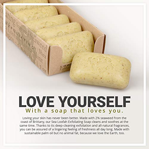 Baudelaire Exfoliating Soap, Sea Loofa Bath Soap & Body Soap, Natural Soap, Triple Milled with 100% Natural Fragrance, 2…