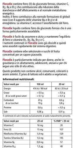 Floradix Liquid Iron and Vitamin Formula 250ml