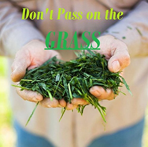 Amazing Grass Wheat Grass Tablets: 100% Whole-Leaf Wheat Grass Powder for Energy, Detox & Immunity Support, Chlorophyll…