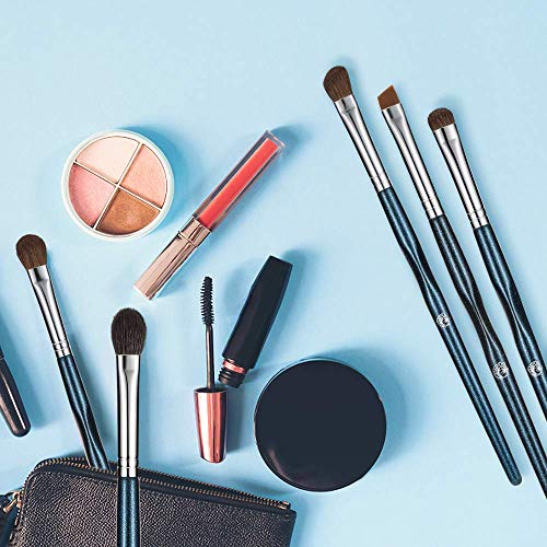ENERGY Eye Makeup Brush Set Professional Eyeshadow Brush Set 10pcs Make Up Brush Kit for Eye Shader,Eyeliner,Eye…