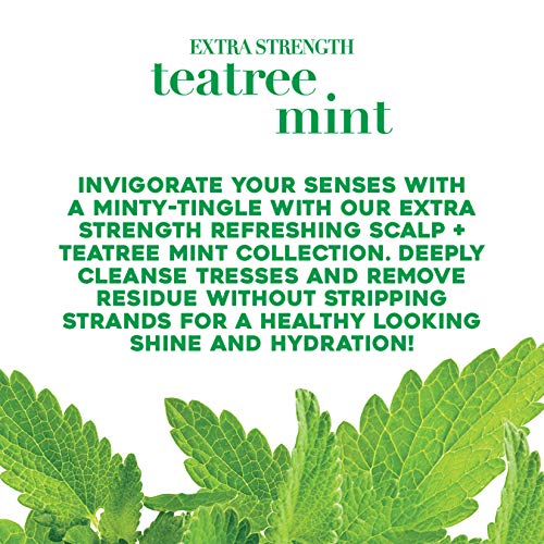 OGX Extra Strength Refreshing Scalp + Tea Tree Mint Conditioner, 13 Ounce