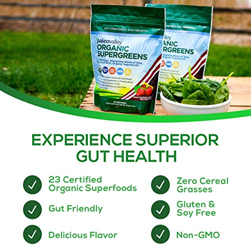 Paleovalley Organic Supergreens – Organic Greens Powder Superfood for Immune Support – Paleo Green Powder Blend – 28…