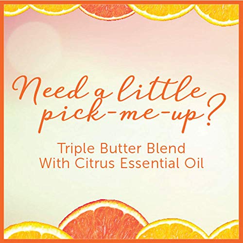 Jergens Sweet Citrus Body Butter Body and Hand Lotion, Moisturizer, 7 Ounce Lotion with Essential Oil for Indulgent…