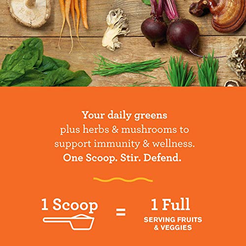 Amazing Grass Greens Blend Superfood for Immune Support: Super Greens Powder Smoothie Mix with Vitamin C, Cordyceps…