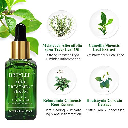 Acne Treatment Serum plus Acne Facial Cleanser, BREYLEE Acne Treatment Set Pimple Clear Skin Kit for Clearing Severe…