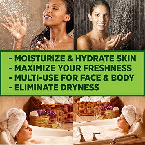 Olivia Care Bath & Body Bar Green Tea Soap 4 Pack Gift Box Organic, Vegan & Natural Contains Olive Oil Repairs, Hydrates…