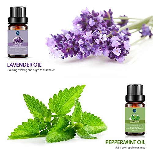 Essential Oils Set – Top 6 Organic Blends for Diffusers, Home Care, Candle Making, Fragrance, Aromatherapy, Humidifiers…