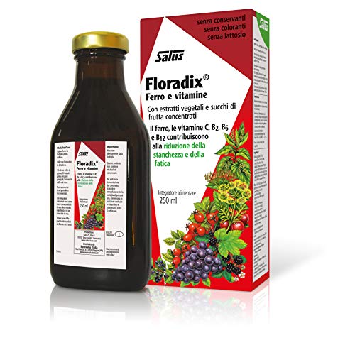 Floradix Liquid Iron and Vitamin Formula 250ml