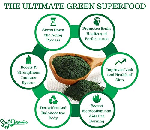 Organic Spirulina Powder Pure and Raw – Purest Green Algae Superfood, Supports Vitality and Glowing Skin, Hair and Face…