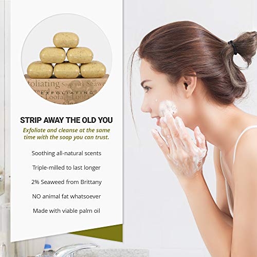 Baudelaire Exfoliating Soap, Sea Loofa Bath Soap & Body Soap, Natural Soap, Triple Milled with 100% Natural Fragrance, 2…