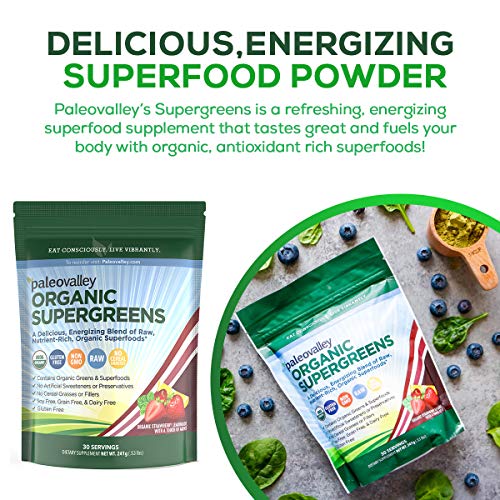 Paleovalley Organic Supergreens – Organic Greens Powder Superfood for Immune Support – Paleo Green Powder Blend – 28…