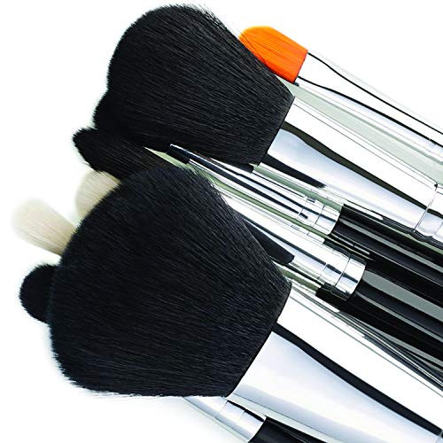 Alayna professional makeup brush kit- 15 brushes. Soft bristles. Makeup brushes for powder, contour, blush, concealer…