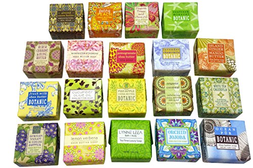 Botanical Soap Natural Extracts Sampler Set of 19 1.9 ounce Soap Bars Gift Boxed by Lynne Leea