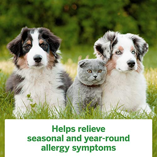 Flonase Allergy Relief Nasal Spray, 24 Hour Non Drowsy Allergy Medicine, Metered Nasal Spray – 120 Sprays, 0.54 Fl Oz…