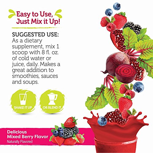 Healthy Delights Naturals, Organic Reds Probiotic’s Powder, Antioxidant Superfood, Naturally Boost Energy, Non-GMO…