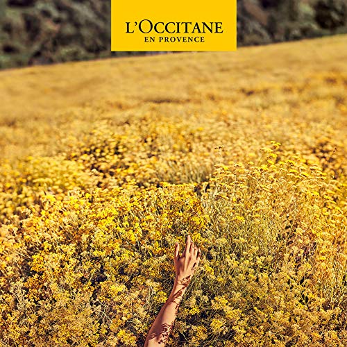 L’Occitane Citrus Verbena Sorbet Body Cream 8.8Oz
