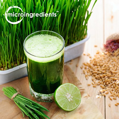 Micro Ingredients Sustainably US Grown, Organic Wheat Grass Powder (100% Whole-Leaf), 16 Ounce, Rich in Immune Vitamins…