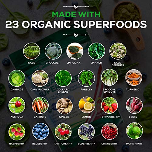 Paleovalley Organic Supergreens – Organic Greens Powder Superfood for Immune Support – Paleo Green Powder Blend – 28…